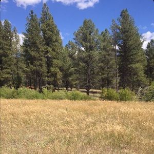 Meet your Posher, Kaylin